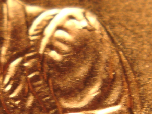 2009-Fy-1-Dr-050